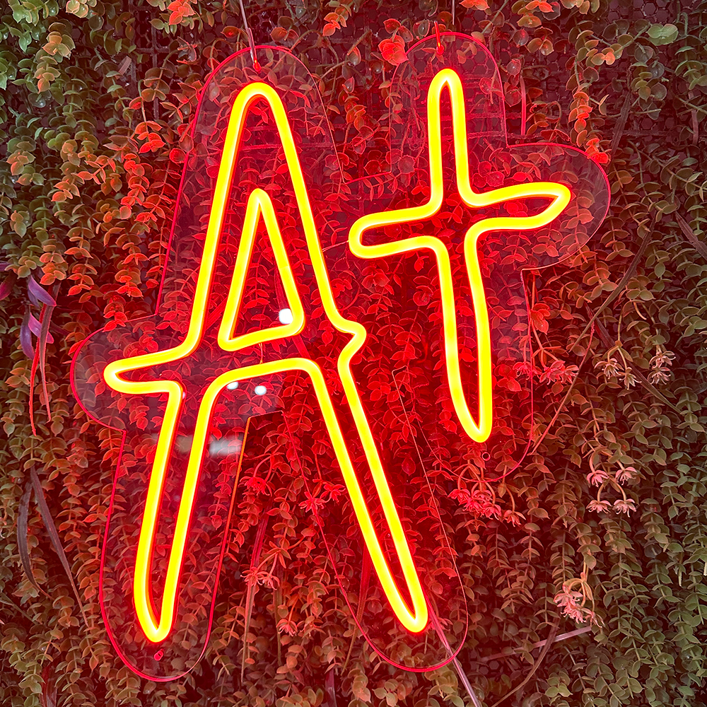 A Plus Mathnasium Neon Sign