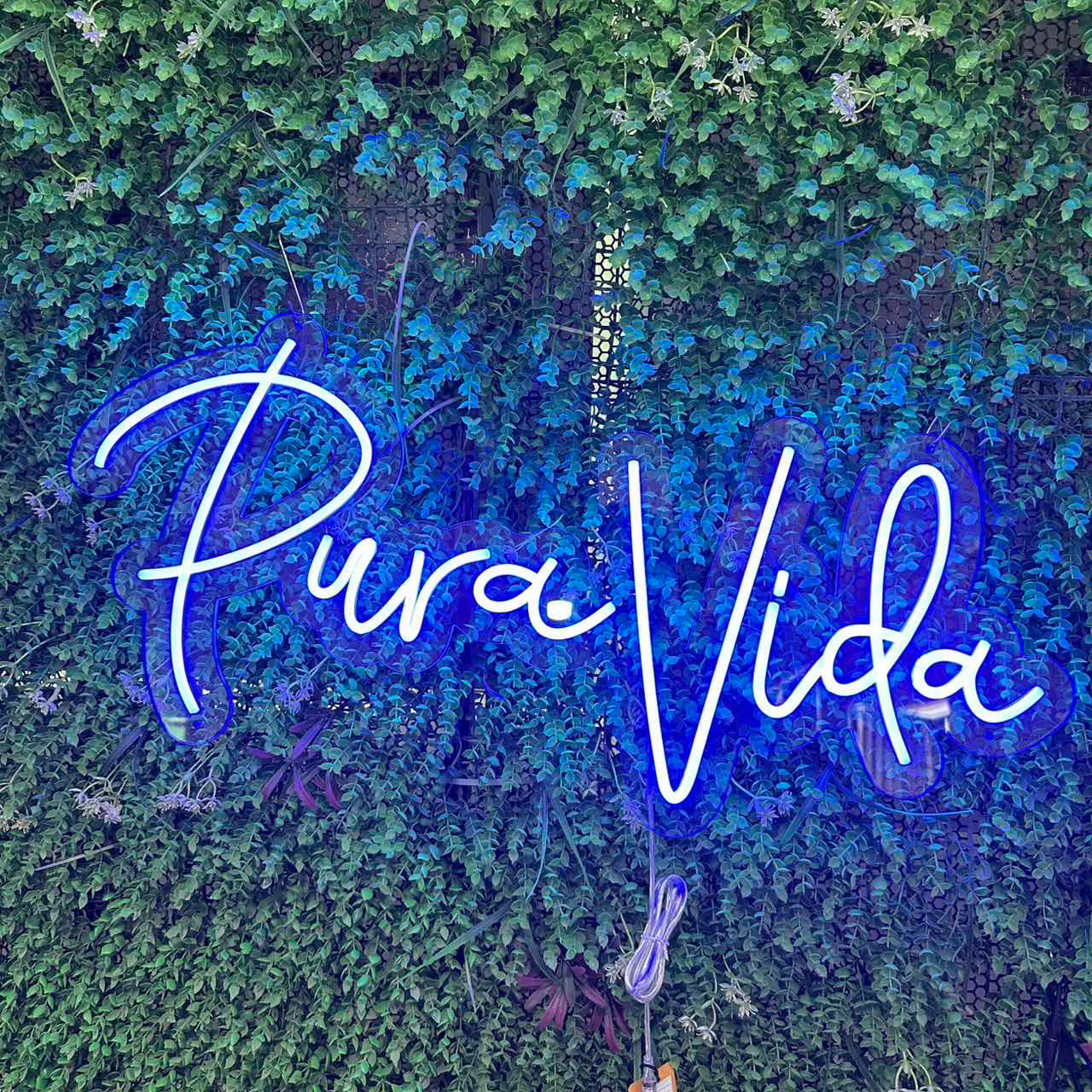 Pura Vida Neon Sign