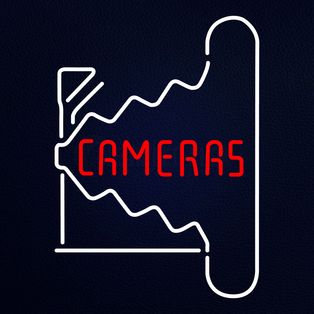 Cameras Block Neon Flex Sign