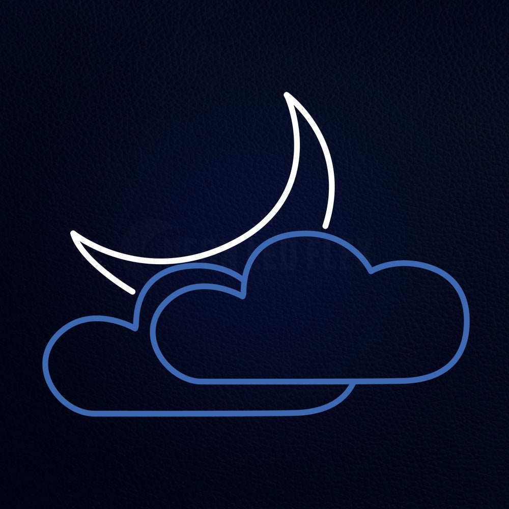 Cloud With Rain Neon Flex Sign