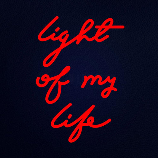 Light Ok My Life Neon Flex Sign