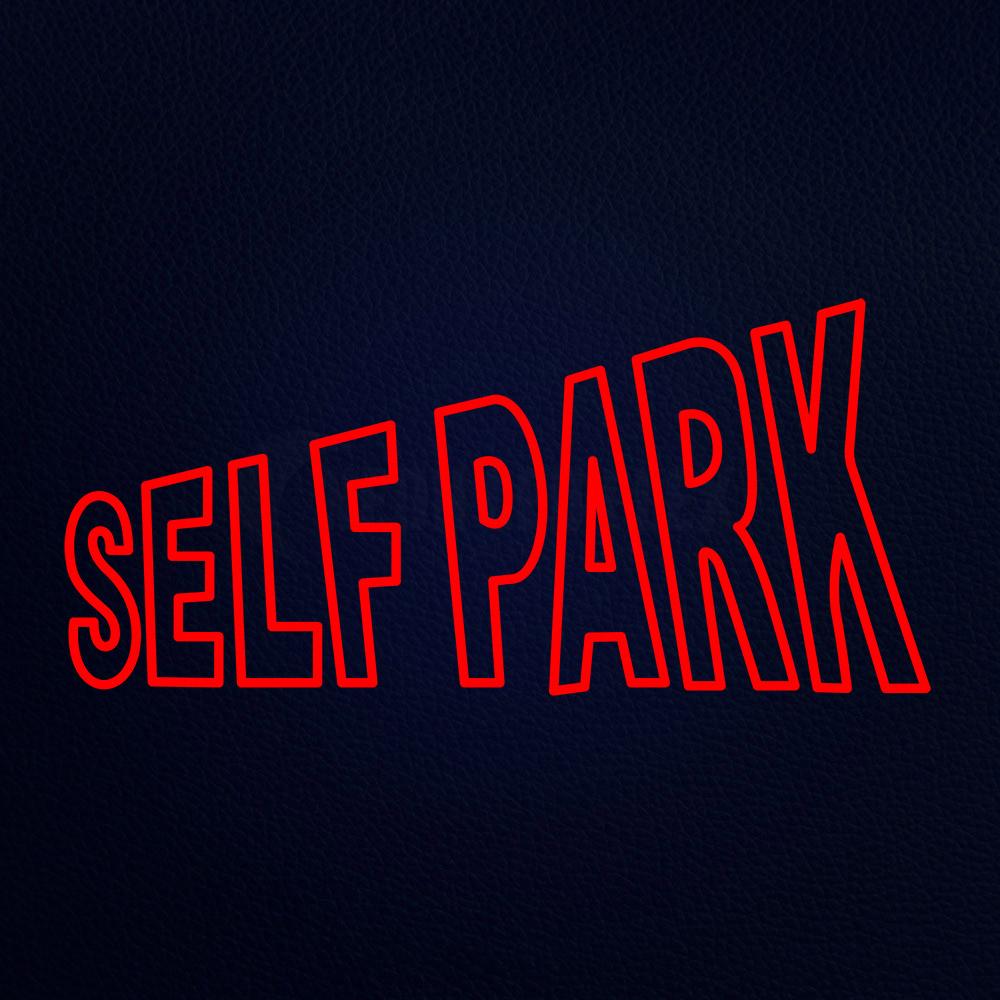 Self Park Neon Flex Sign