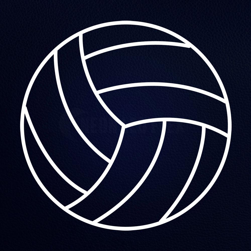 Sports Volleyball Icon Neon Flex Sign