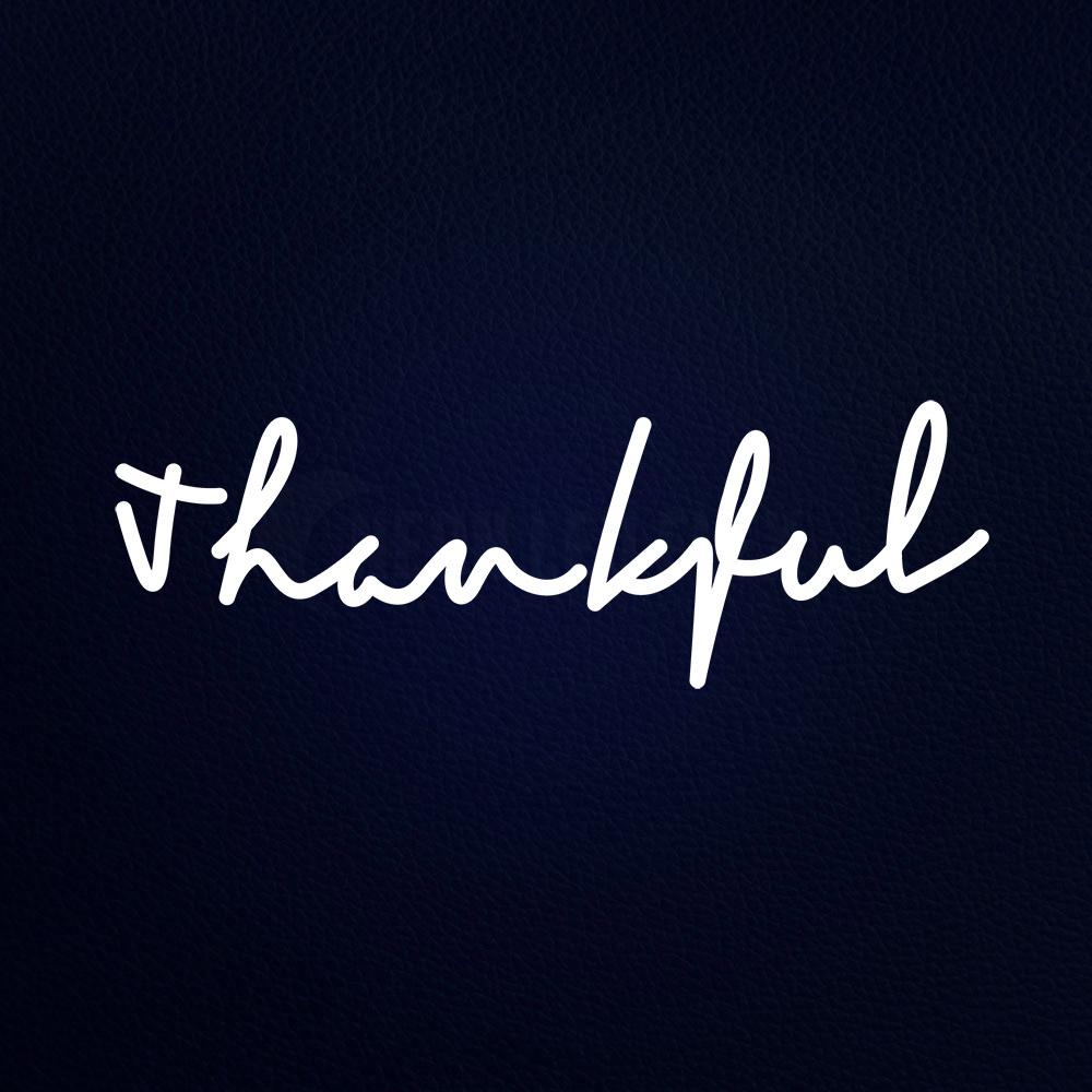 Thankful Neon Flex Sign