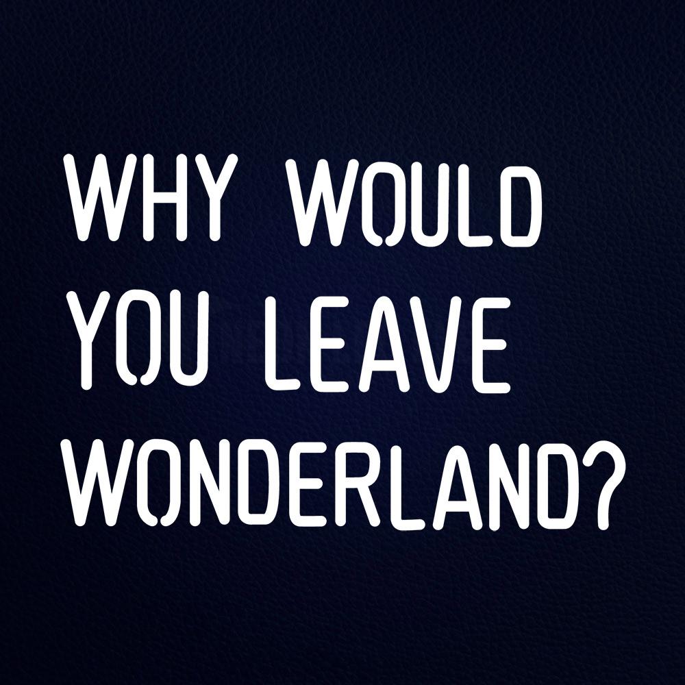 Why Would You Leave Wonderland Neon Flex Sign