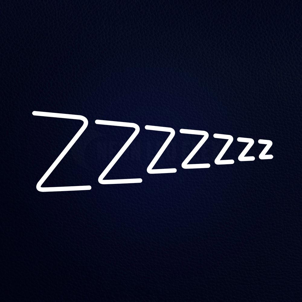 Zzzz Sleep Neon Flex Sign